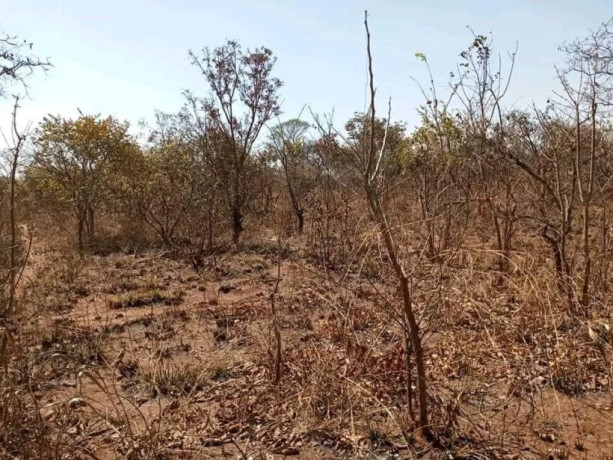 plot-for-sale-in-ibex-meanwood-big-0