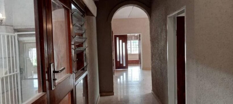 4-bedroom-house-for-rent-in-roma-park-big-1