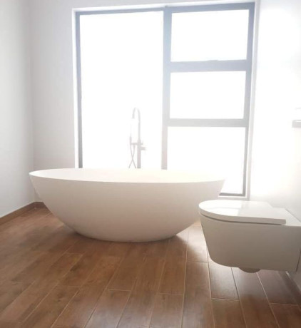 4-bedroom-house-for-sale-in-roma-park-big-8