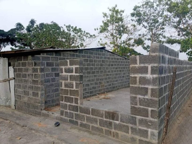 1-hectar-farm-for-sale-in-kamfinsa-big-6