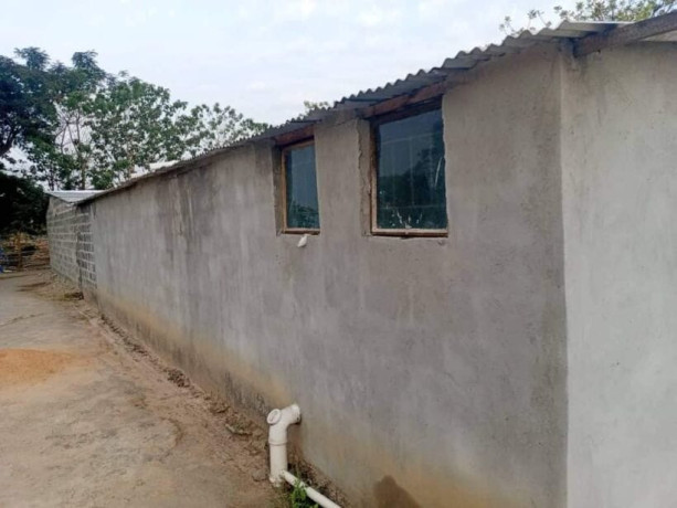 1-hectar-farm-for-sale-in-kamfinsa-big-8