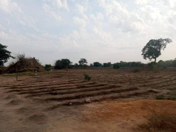 1-hectar-farm-for-sale-in-kamfinsa-big-2