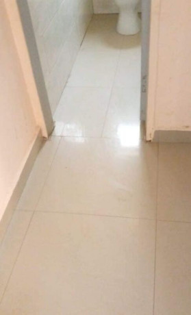 2-bedroom-flat-for-rent-in-chilanga-big-2