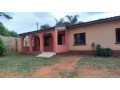 neat-and-modern-3-bedroom-house-for-rent-in-avondale-small-3