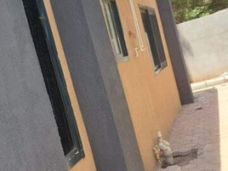 2-bedroom-house-for-rent-in-chalala