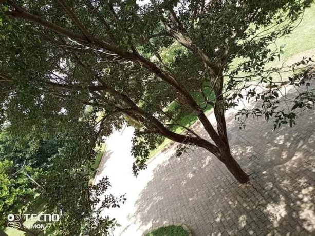 3-bedroom-flats-for-rent-in-chalala-big-6