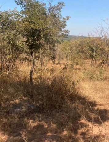 1-acre-plot-for-sale-in-new-kasama-big-4