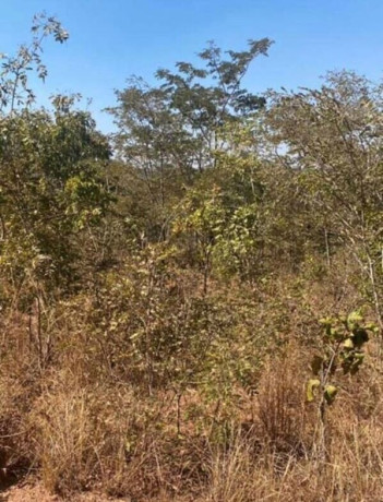 1-acre-plot-for-sale-in-new-kasama-big-3