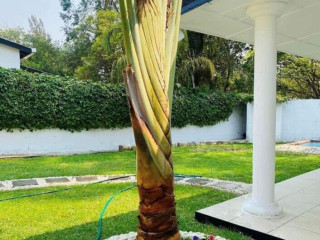 3-bedroom-house-for-rent-in-roma