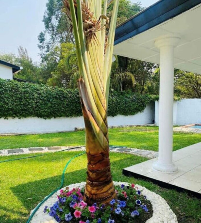 3-bedroom-house-for-rent-in-roma-big-0