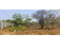 5-acre-land-for-sale-in-ibex-meanwood-small-0