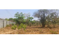 5-acre-land-for-sale-in-ibex-meanwood-small-2
