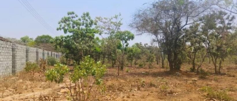 5-acre-land-for-sale-in-ibex-meanwood-big-2