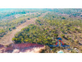 26-acres-land-for-sale-in-palabana-small-6
