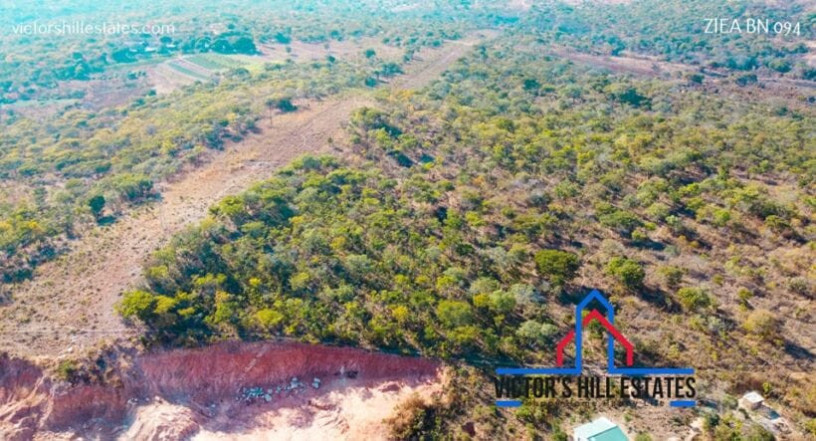 26-acres-land-for-sale-in-palabana-big-6