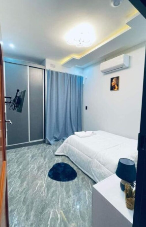 1-bedroom-apartment-for-rent-in-ibex-big-8