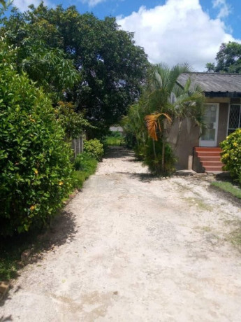 3-bedroom-standalone-house-for-rent-in-riverside-kitwe-big-1
