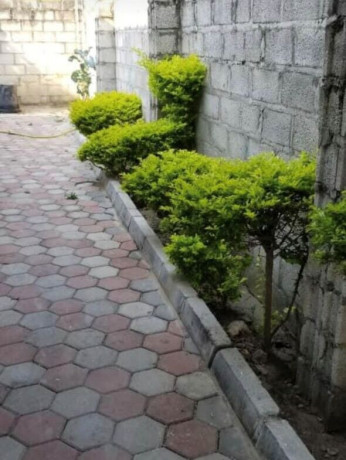 3-bedroom-flat-for-rent-in-meanwood-ndeke-big-5