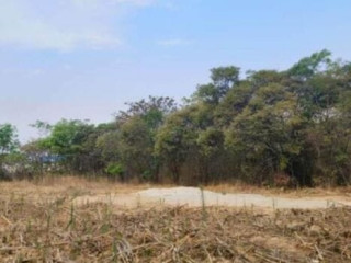 2-acre-plot-for-sale-in-ibex-hill