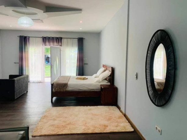 1-bedroom-furnished-apartment-for-rent-in-roma-big-8