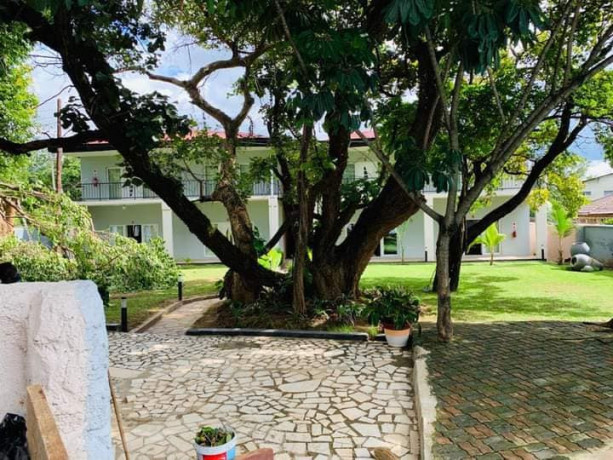 1-bedroom-furnished-apartment-for-rent-in-roma-big-4