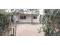 4-bedroom-house-for-rent-in-lilayi-small-3