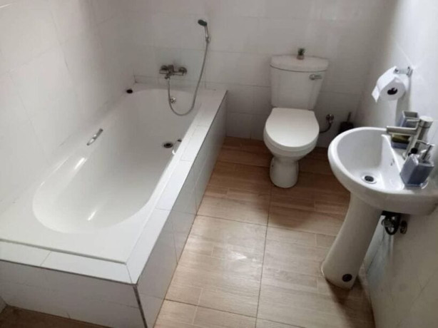 1-bedroom-flat-for-rent-in-lilayi-big-1