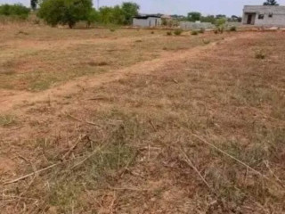 plot-for-sale-in-lilayi