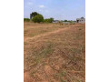 50-plots-for-sale-in-chalala-lilayi-estate-small-5