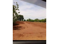 50-plots-for-sale-in-chalala-lilayi-estate-small-2