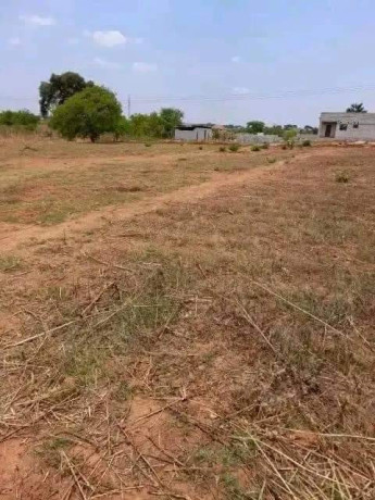 50-plots-for-sale-in-chalala-lilayi-estate-big-5