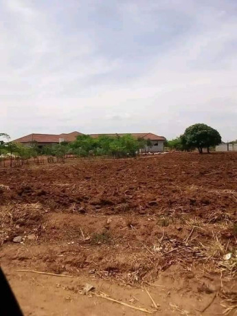 50-plots-for-sale-in-chalala-lilayi-estate-big-3