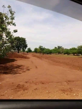 50-plots-for-sale-in-chalala-lilayi-estate-big-2