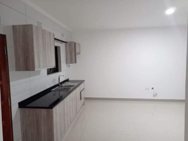 apartments-for-rent-in-lilayi-estate-big-8