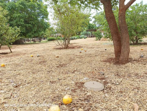 plots-for-sale-in-chalala-big-3
