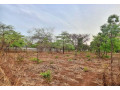 42m-x-30m-plot-for-sale-in-lilayi-small-0