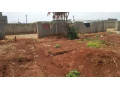 plot-for-sale-in-lilayi-estate-small-0