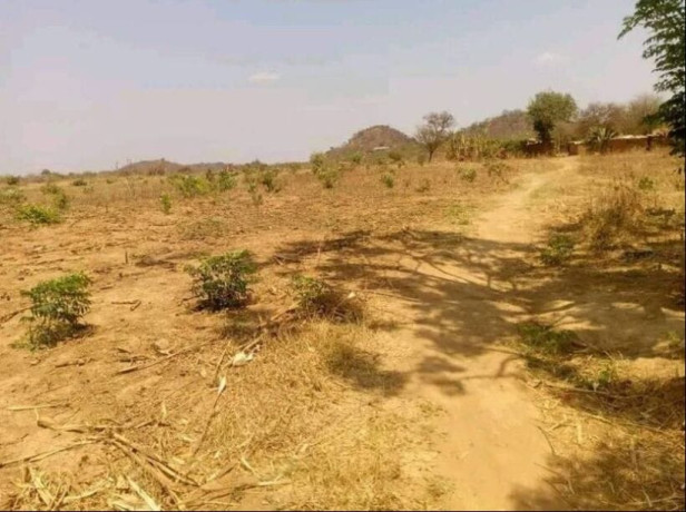 5-acre-land-for-sale-in-shimabala-big-2