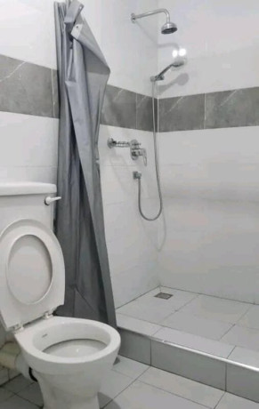 3-bedroom-house-for-rent-in-helen-kaunda-big-1