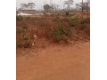 plot-for-sale-in-lilayi-small-4