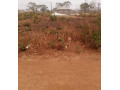 plot-for-sale-in-lilayi-small-7