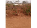 plot-for-sale-in-lilayi-small-2