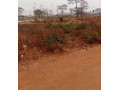 plot-for-sale-in-lilayi-small-8