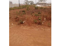 plot-for-sale-in-lilayi-small-0