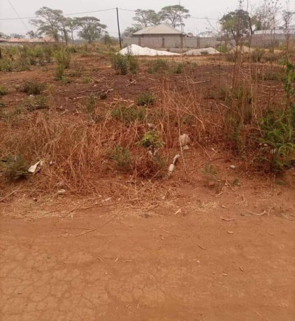 plot-for-sale-in-lilayi-big-7