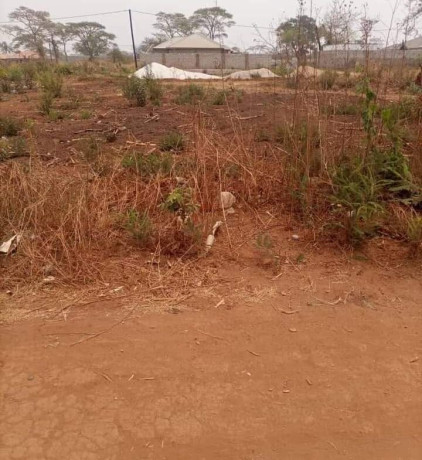plot-for-sale-in-lilayi-big-2