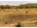5-acre-land-for-sale-in-shimabala-small-3
