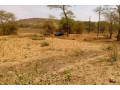 5-acre-land-for-sale-in-shimabala-small-4