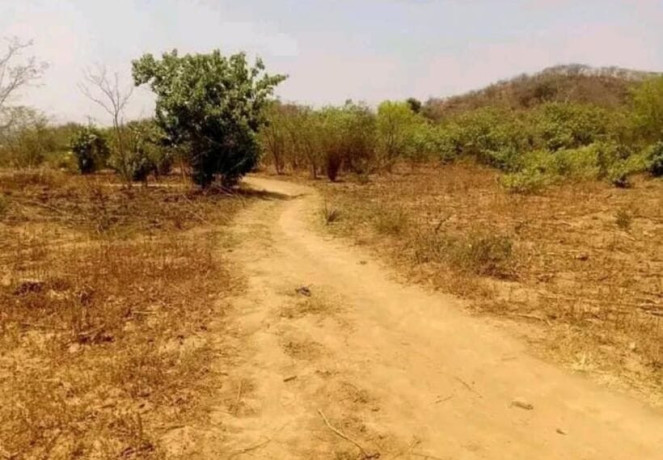 5-acre-land-for-sale-in-shimabala-big-2