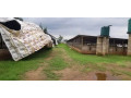 farm-land-for-sale-in-shimabala-small-9